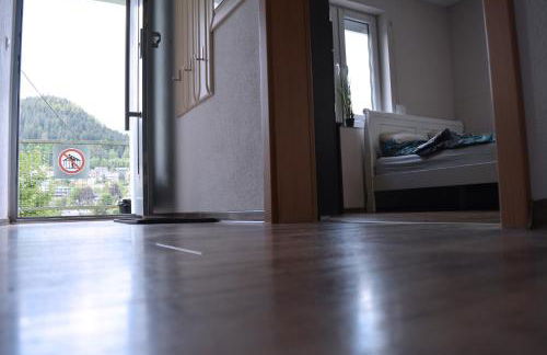 Pazdur Alpirsbach - Foto 20