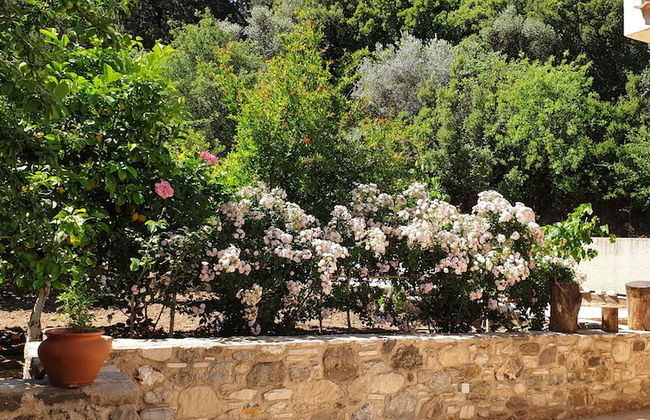 Chaihoutes stone House into Olive farm in Zia - Foto 10