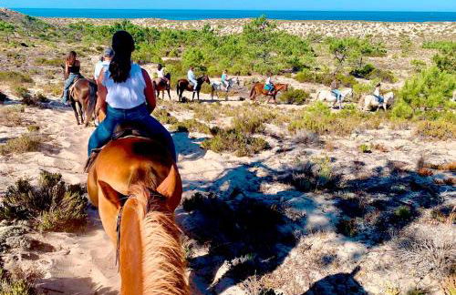 Troia Garden View Apartment - Foto 22