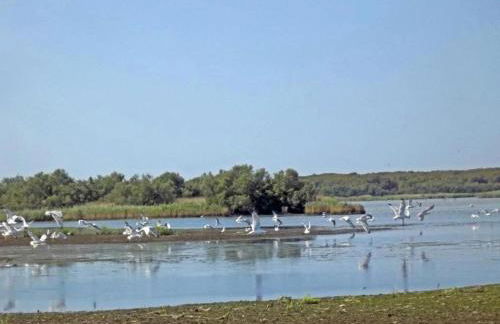 Characteristic Apartment in Codigoro With Pool - Foto 106