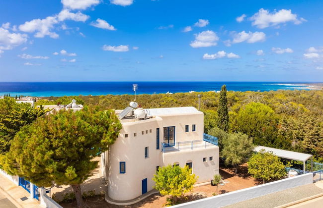 Villa Poseidonas in Peyia - Photo 8