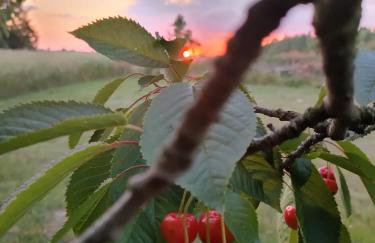 Lawendowy Domek agroturystyka, noclegi - 2,7 km od Bałtowa - Foto 46