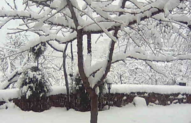 Rustic Mountain Stay, Laroya - Foto 27