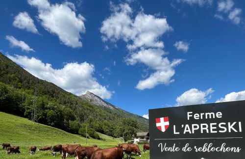 Vallée des Aravis, Appartement Lapreski, proche de La Clusaz - Foto 20