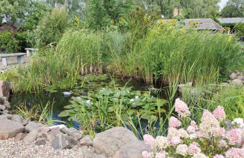 Apartmenthaus am Grienericksee - Photo 20