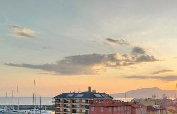 Seagulls, Elegance and Freedom - Foto 11