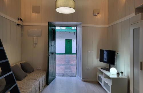 Coliseo setas - Foto 12