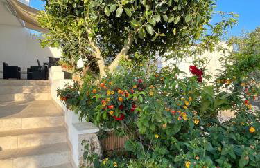 CASA MELODIA - Vista mare favolosa - Immersa negli uliveti - Experiences - Foto 26