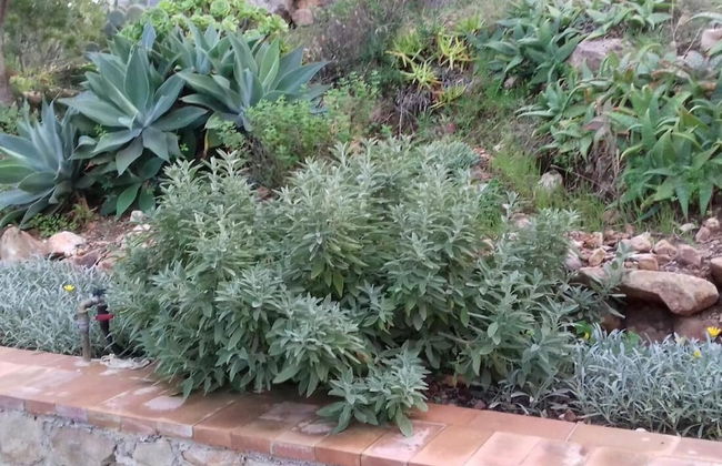 Seaside House in Rais Gerbi Residence - Photo 30