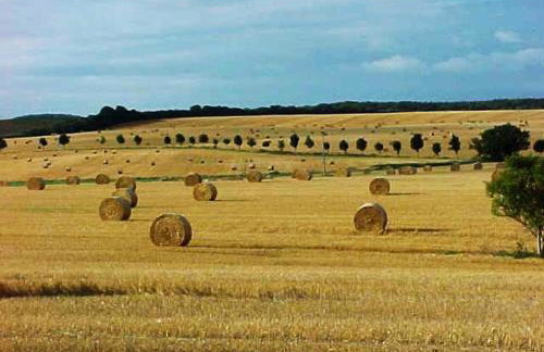 Forsthof Niendorf - Foto 41