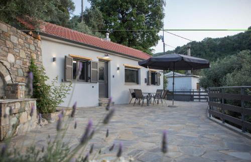 Fofi's House - Foto 19