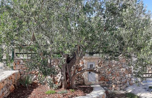 Kuca za odmor Bozena - Photo 43