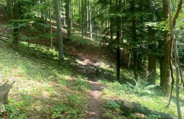 Ovis Homes I Gorąca balia - Widok na góry - 8 osób - Komfortowy domek - Foto 33