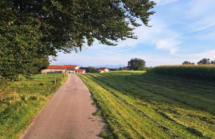 Ferienwohnung z'Dandlberg - Foto 31