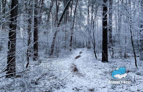Dragon’s Nest: Cozy & modern attic loft Nuremberg - Foto 14