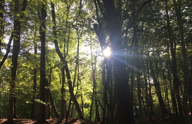 Baltic Sea Dromelhus - Foto 18