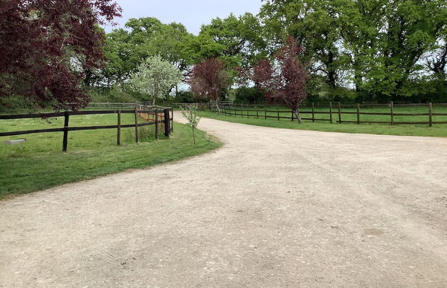 Beautiful 1-bed Apartment in Wareham,dorset - Foto 21