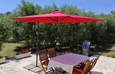 Happy garden house - Photo 20