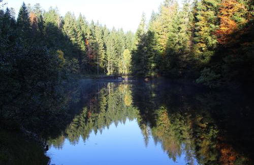 Gîte Confortable en Pleine Nature avec Cheminée et Accès Direct aux Sentiers, Proche Gérardmer et Lac - FR-1-589-124 - Photo 9