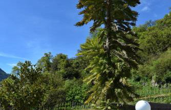 Residence Blumenthalerhof - Foto 68