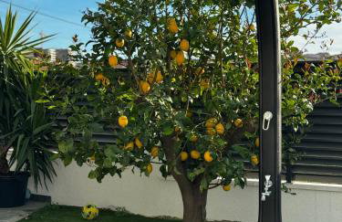 Villa Margita - Foto 43