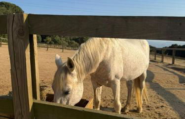 INSPIRA MAISON Montaña y Mar - Foto 27