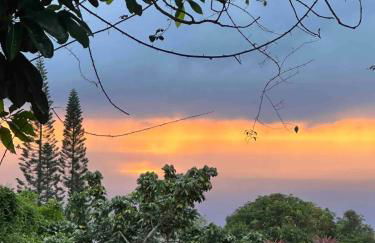 Casa Grateful Hawaii - Foto 40