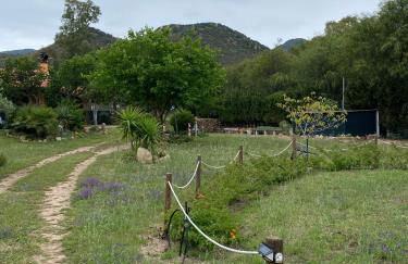 L'Uliveto HOLIDAY HOUSE - Photo 48