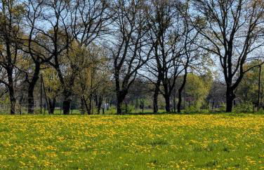 Traumkrone Ferienwohnungen - Himmelblau - Foto 21