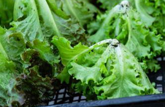 Agriturismo Biomatto - Foto 44