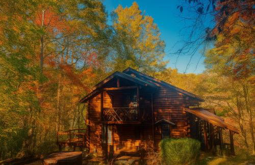 Crabapple-Secluded cabin with pond creek access, hot tube, fire pit in Blue Ridge - Photo 1