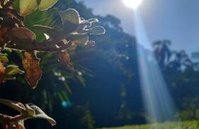 Recanto da Floresta - Photo 10