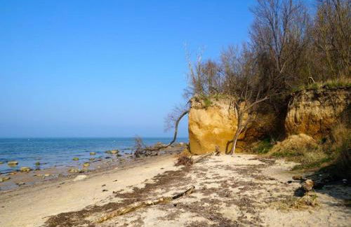 Ferienwohnung Brinkmann - Foto 21