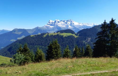 Les Perthuis - Portes du Soleil - Photo 24