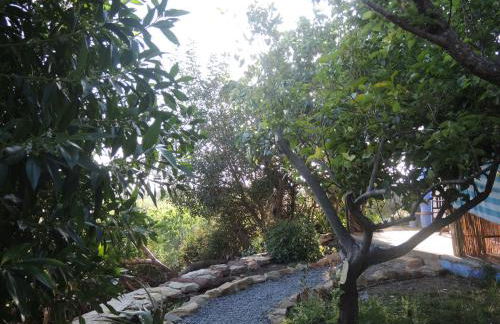 Quinta da Fornalha - Santuario Agroecologico - Foto 50