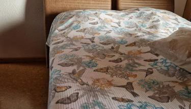 FeWo Fanissimo - Foto 2