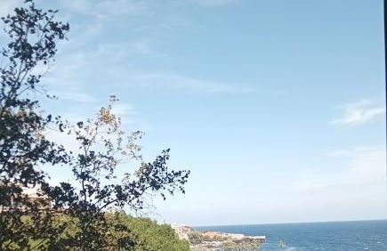 Blue Moon Apartment Ct - Foto 15