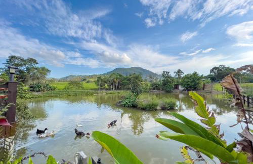 Seu Refúgio Rural Piscina Privativa e Natureza - Foto 76