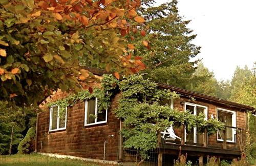 Rural Vacation Cottage near the Coast and the Town of Albion in Northern California - Foto 12