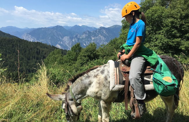 Malga Zanga - Photo 21