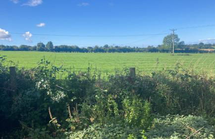 Lake District Solway View 16 The Beeches Caravan Park - Photo 14