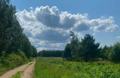 Agroturystyka Raj "Pod rzeźbami" - Photo 39