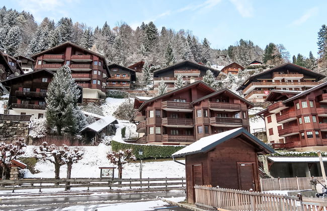 Bouquetins - Photo 32