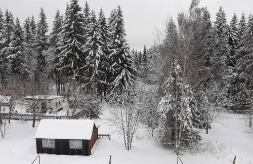 Ferienwohnung Zern - Foto 16