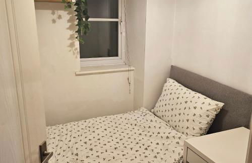 Alexandra Park - Foto 15