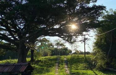 Um Chalé aconchegante no sítio em meio a natureza. - Foto 18