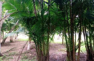 RECANTO DO SABIÁ - Foto 30