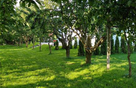 Domki w Winnicy - Świętokrzyska Winnica Knapów - Foto 51