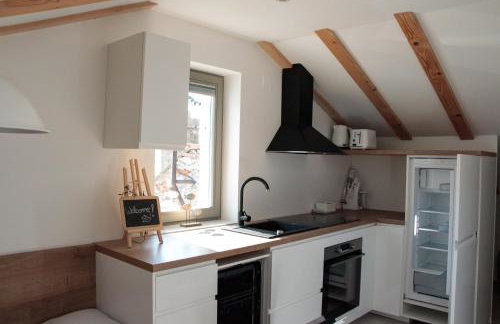 Concha Aurea Apartments - Photo 10