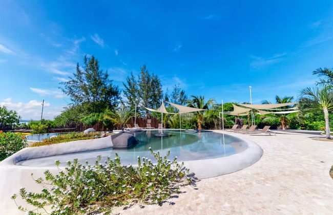 Alterhome Turtle Studio - Foto 13